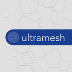 Creatina Ultramesh 300g FTW 